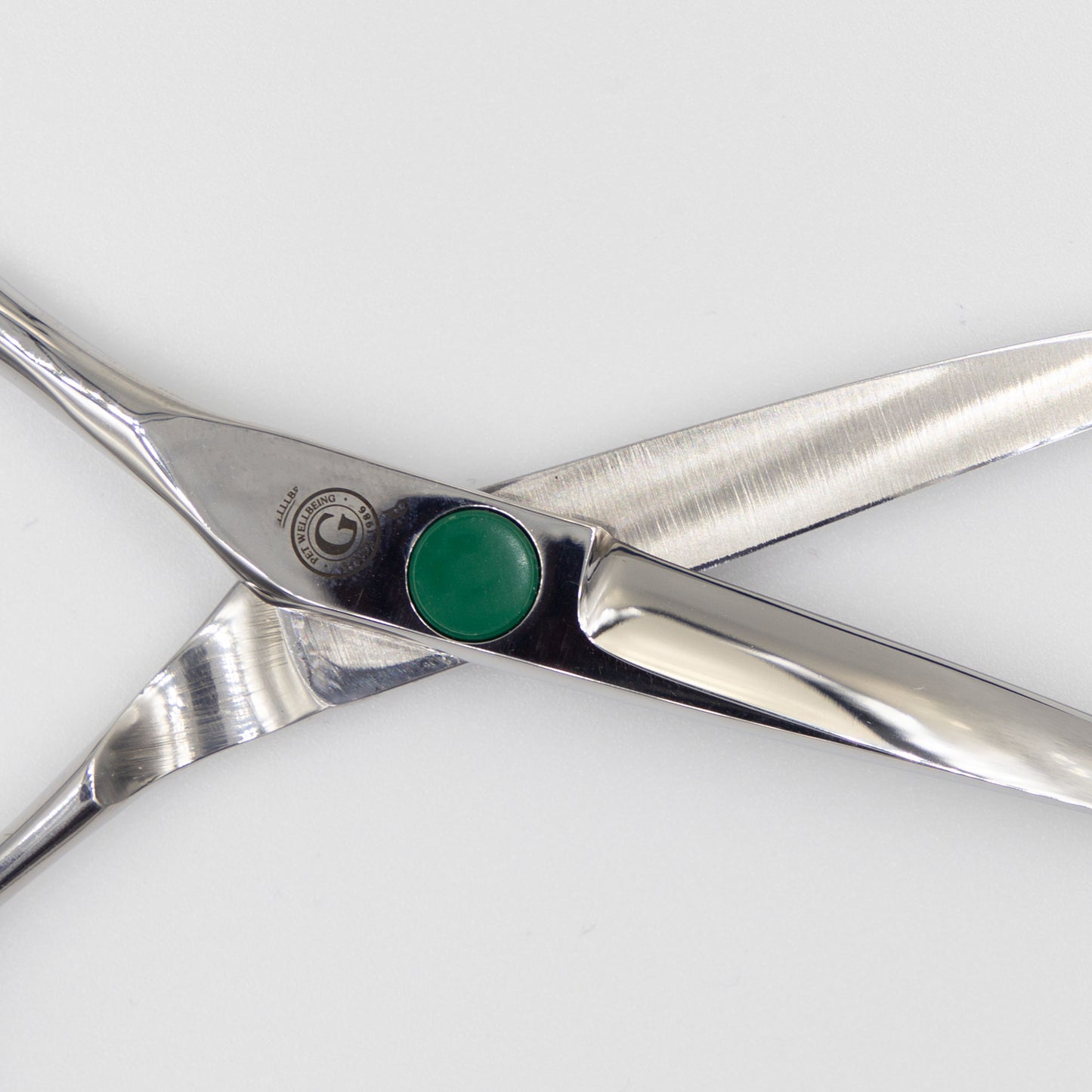 6" Left-Handed Curved Scissors Close Up