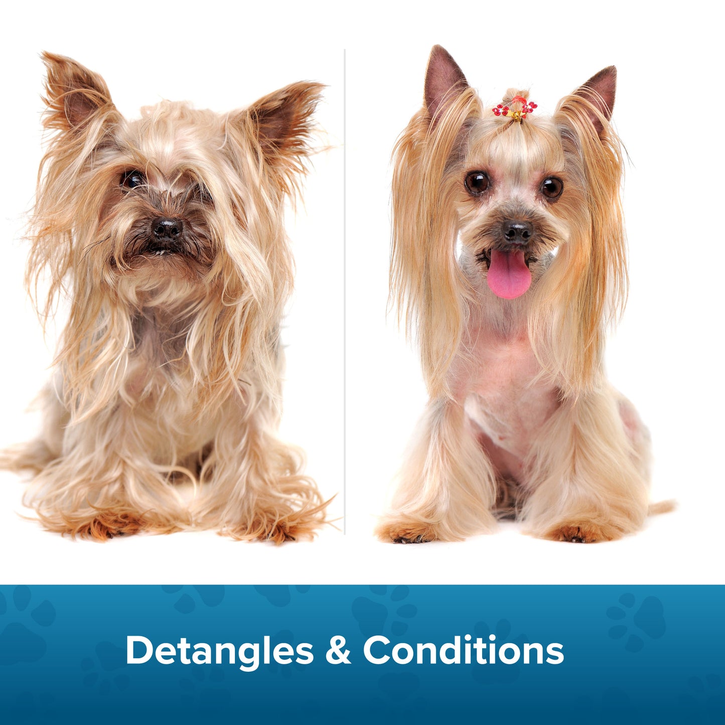 Coat Management Spray Before and After Use