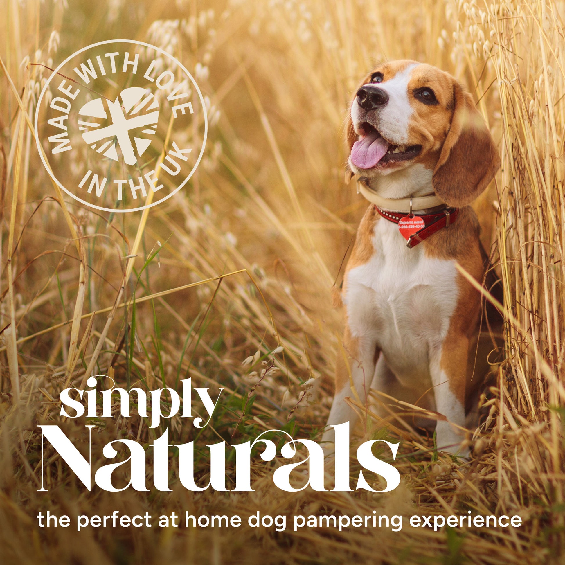 Simply Natural Royal Jelly and Wheatgerm Home Dog Pampering Experience