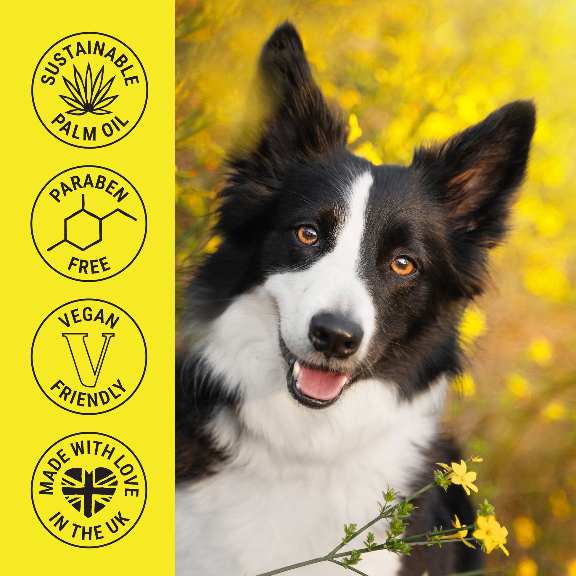 My Dog Spa Daisy Shampoo Benefits