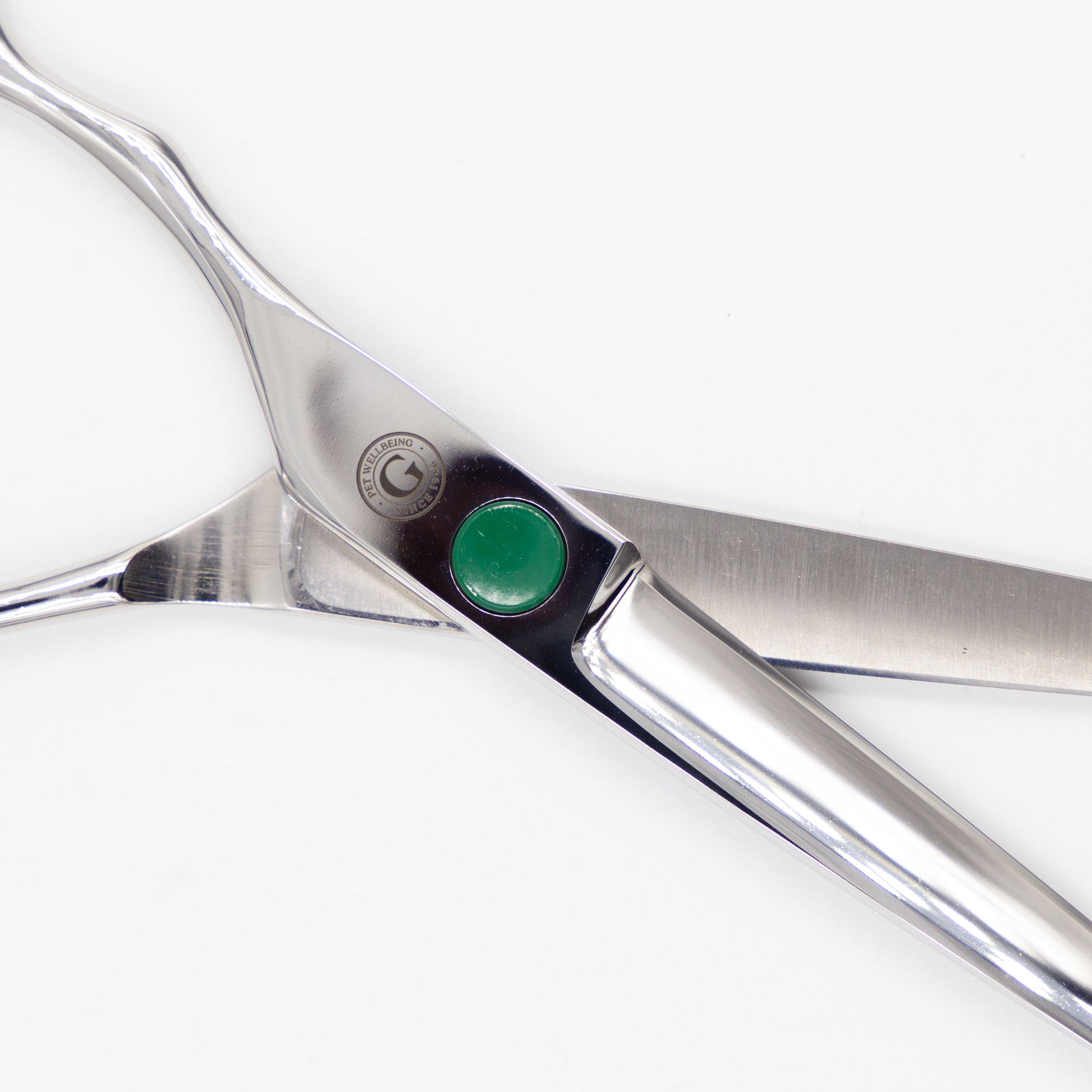 7" Left-Handed Straight Scissors Close Up