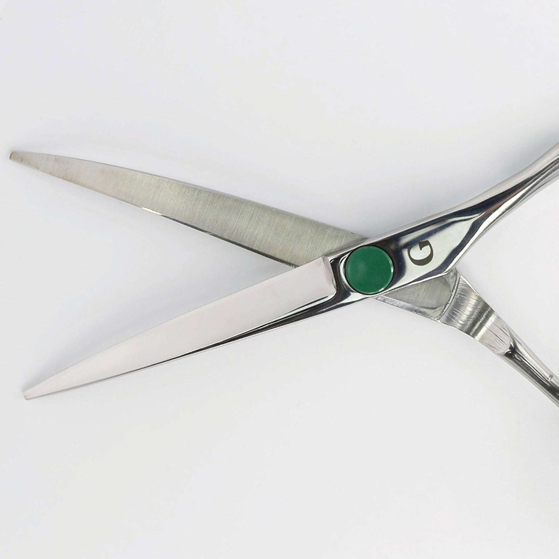 6" Curved Scissors Close Up