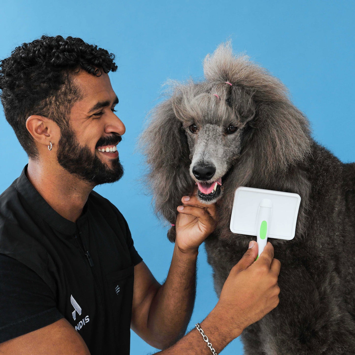 Dog being groomed with the slicker brush