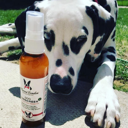 Dog lying next to Dog Sunscreen