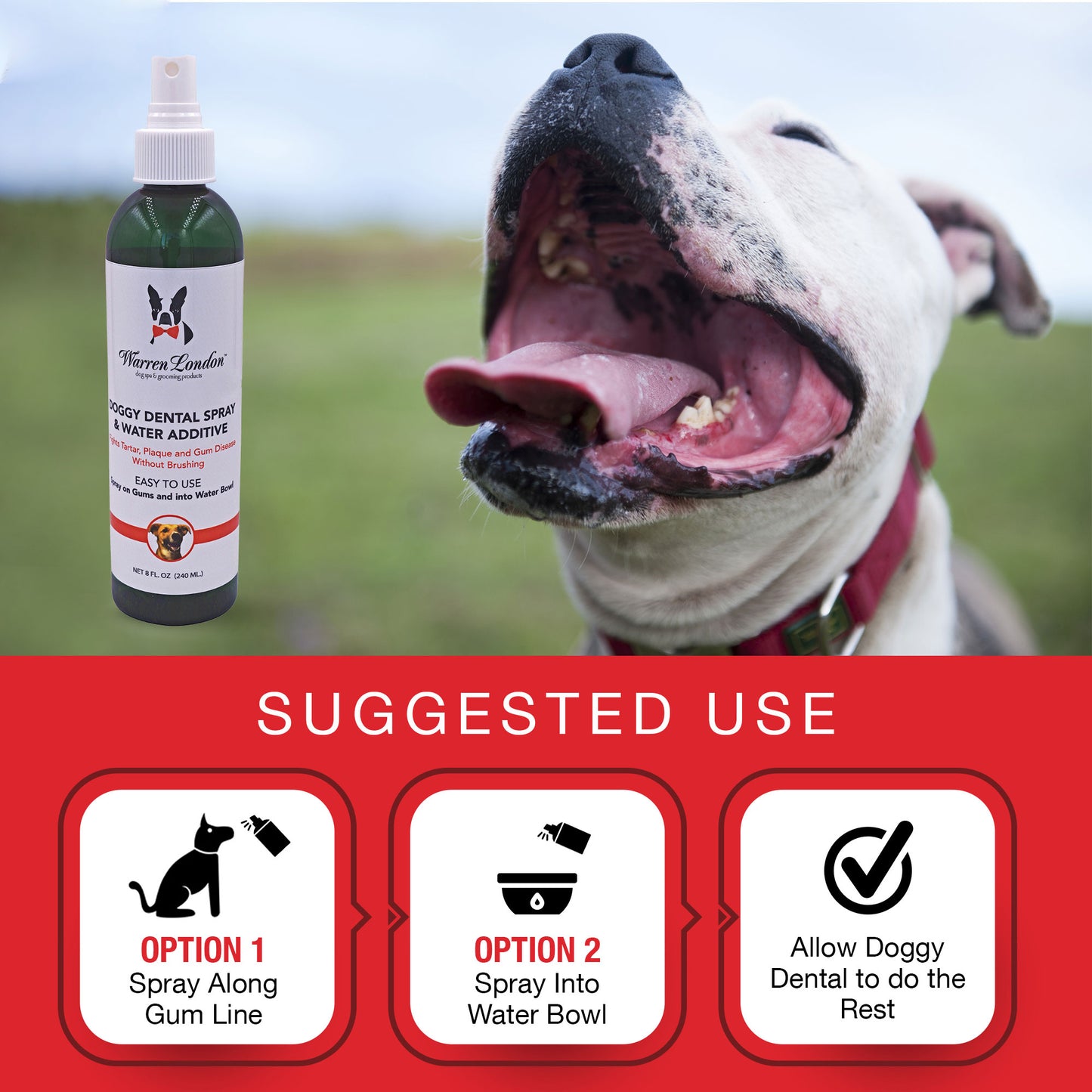 Suggested Use for Doggy Dental Spray