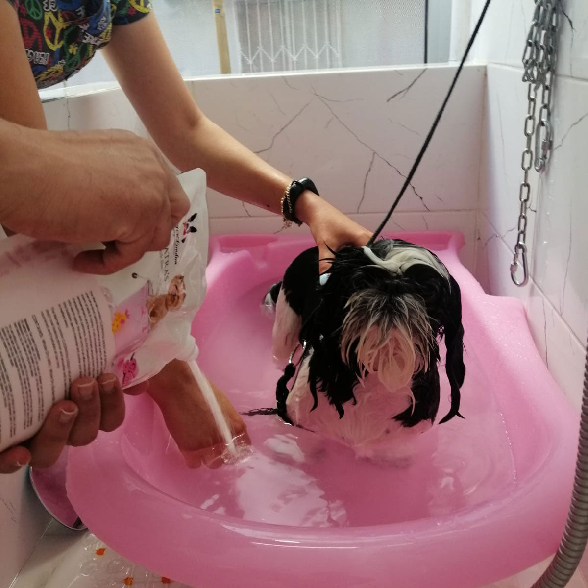 Dog Soaking in Doggy Milk Bath