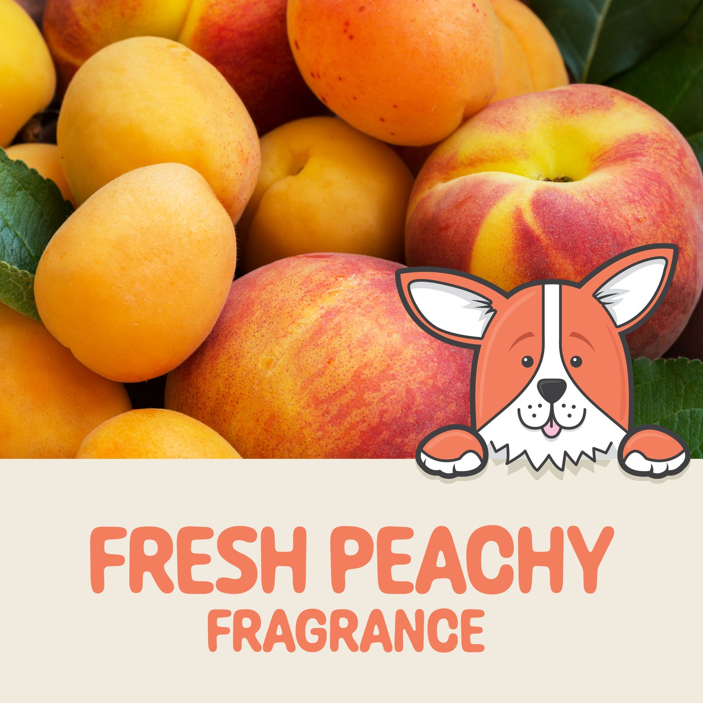 Dog Fragrance Spray with Fresh Peachy Scent