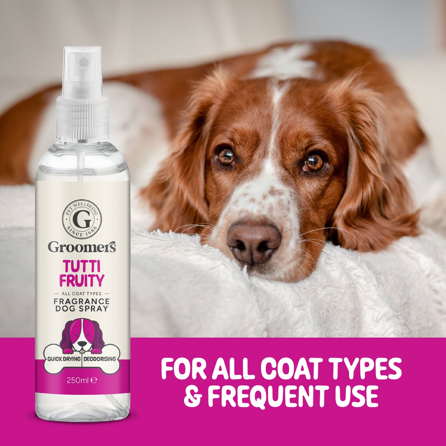 Dog Fragrance Spray for All Coat Types