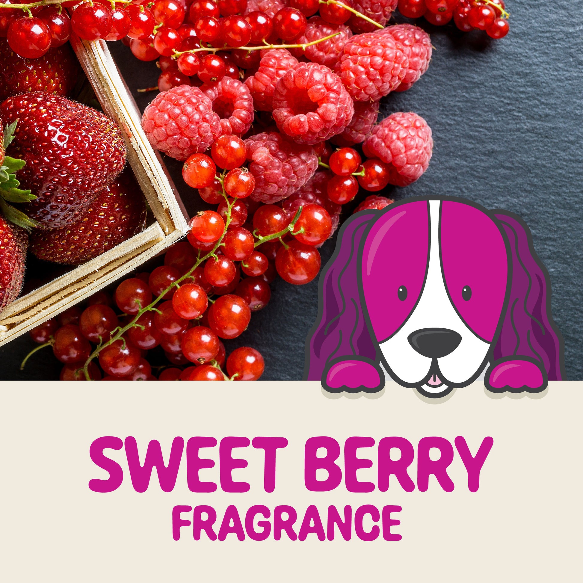 Dog Fragrance Spray with Sweet Berry Fragrance