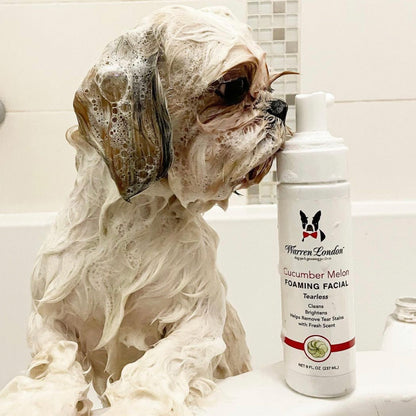 Dog Wash with Cucumber Melon Foaming Facial