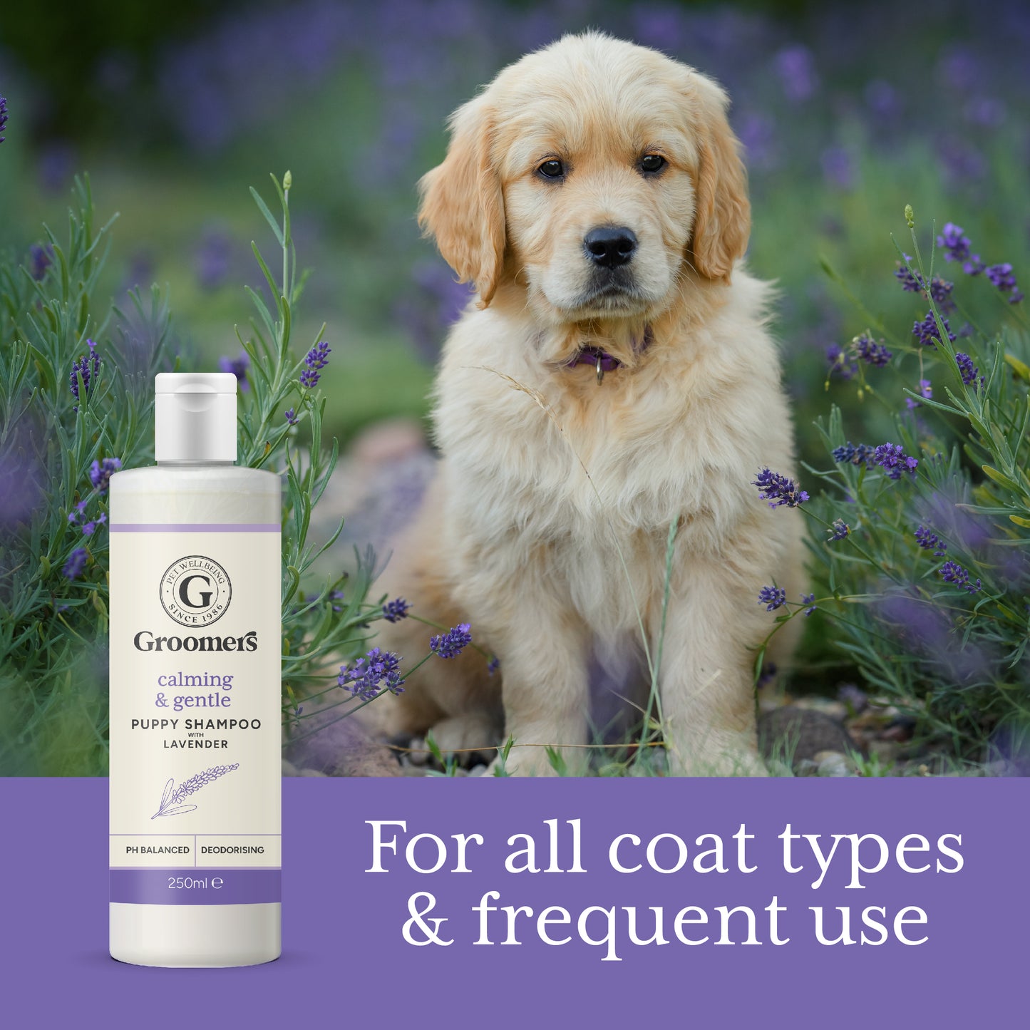 Calming & Gentle Puppy Shampoo Frequent Use