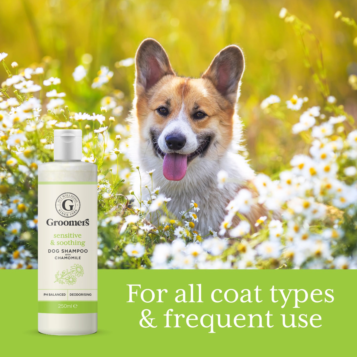 Sensitive & Soothing Dog Shampoo Frequent Use