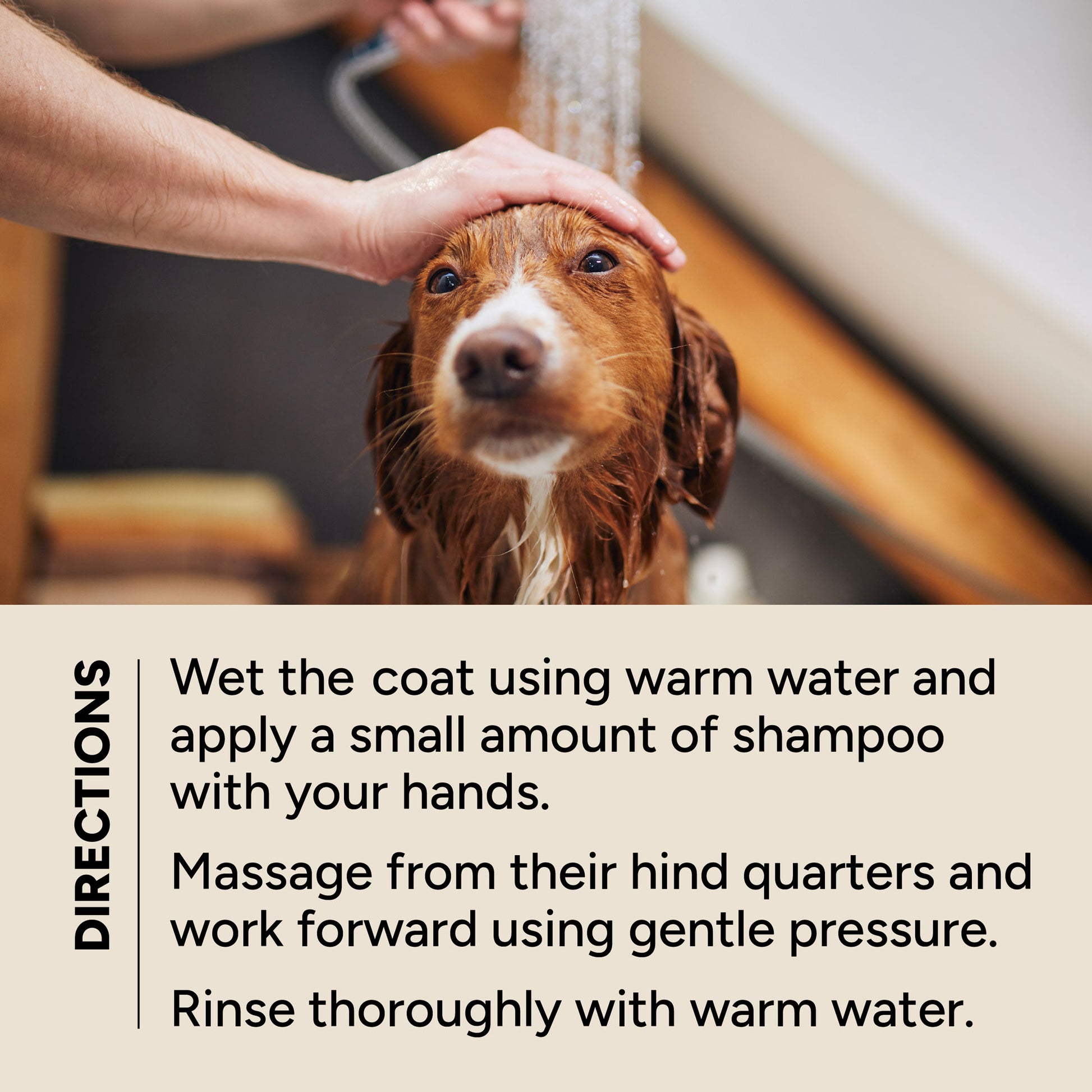 My Dog Spa Shampoo How to Use