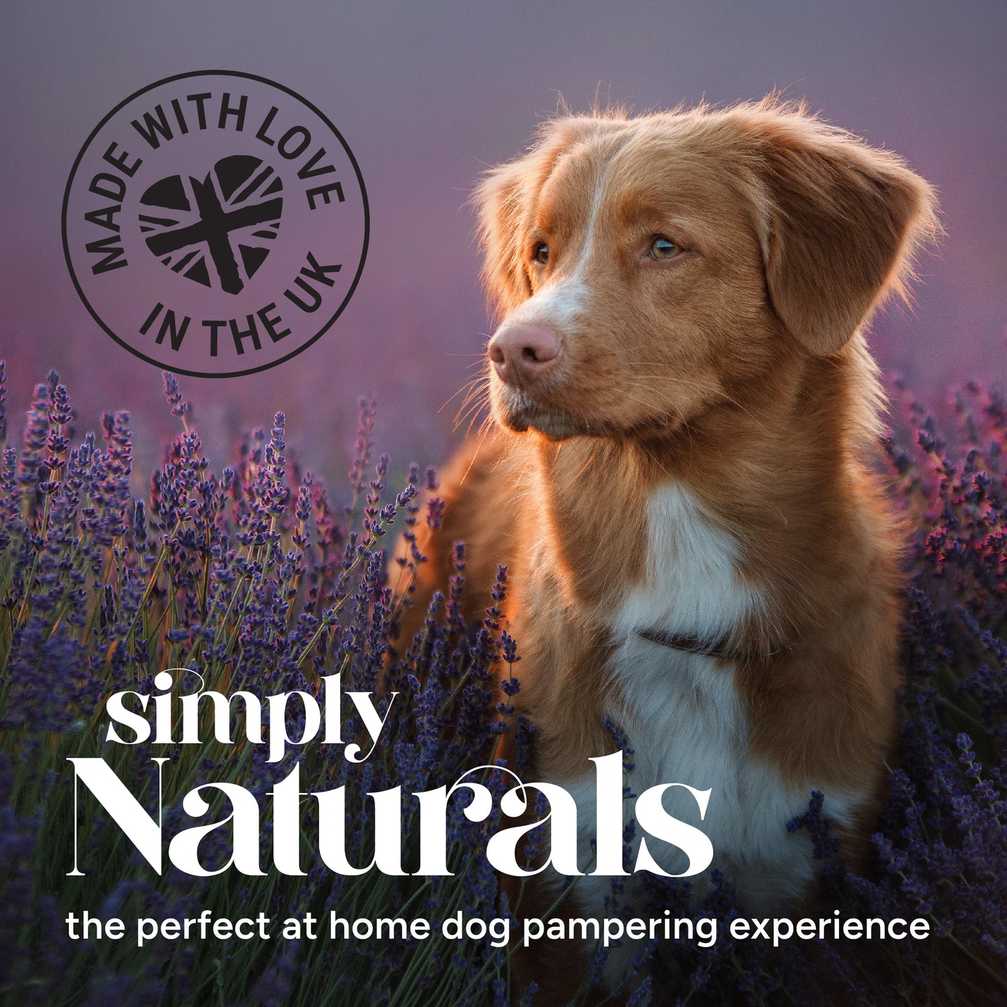 Simply Naturals Lavender and Mint at Home Dog Pamerping Experience