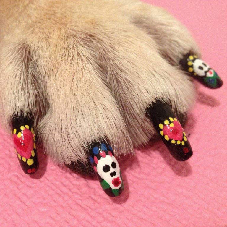 Pawdicure Polish Pen on a Dog's Paw